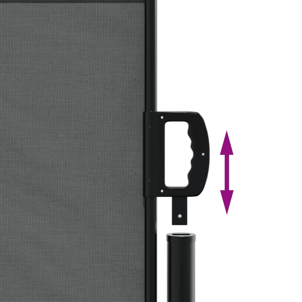 Copertină laterală retractabilă, antracit, 120 x 300 cm GartenMobel Dekor