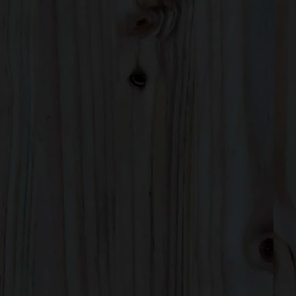 Pat de zi, negru, 90x190 cm, lemn masiv de pin GartenMobel Dekor