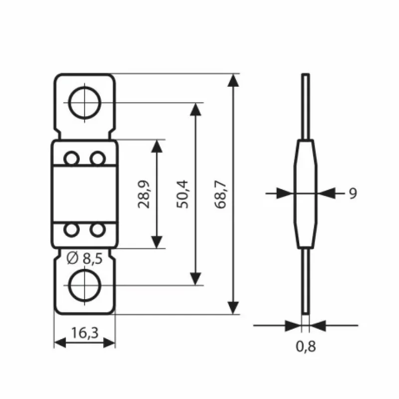 Siguranta ANL Maxi+ 12/32V - 100A Garage AutoRide