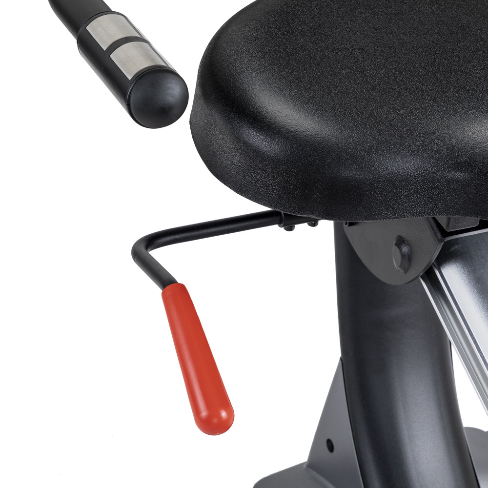 Bicicleta Recumbent inSPORTline Omahan RMB FitLine Training