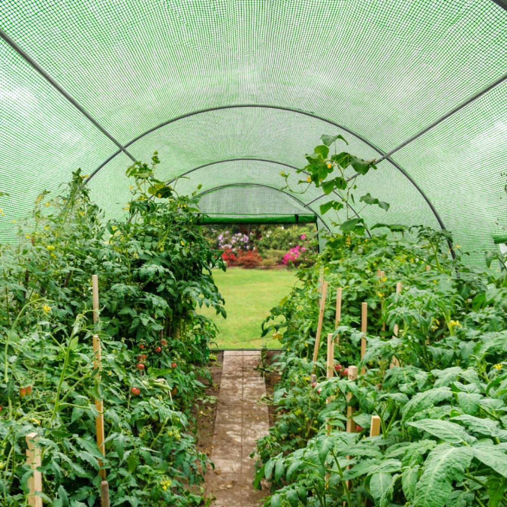 Solar Gradina 10 mp tip Sera pentru Legume, Dimensiuni 4x2.5x2 m, Folie Verde 140g/mp, Filtru UV4