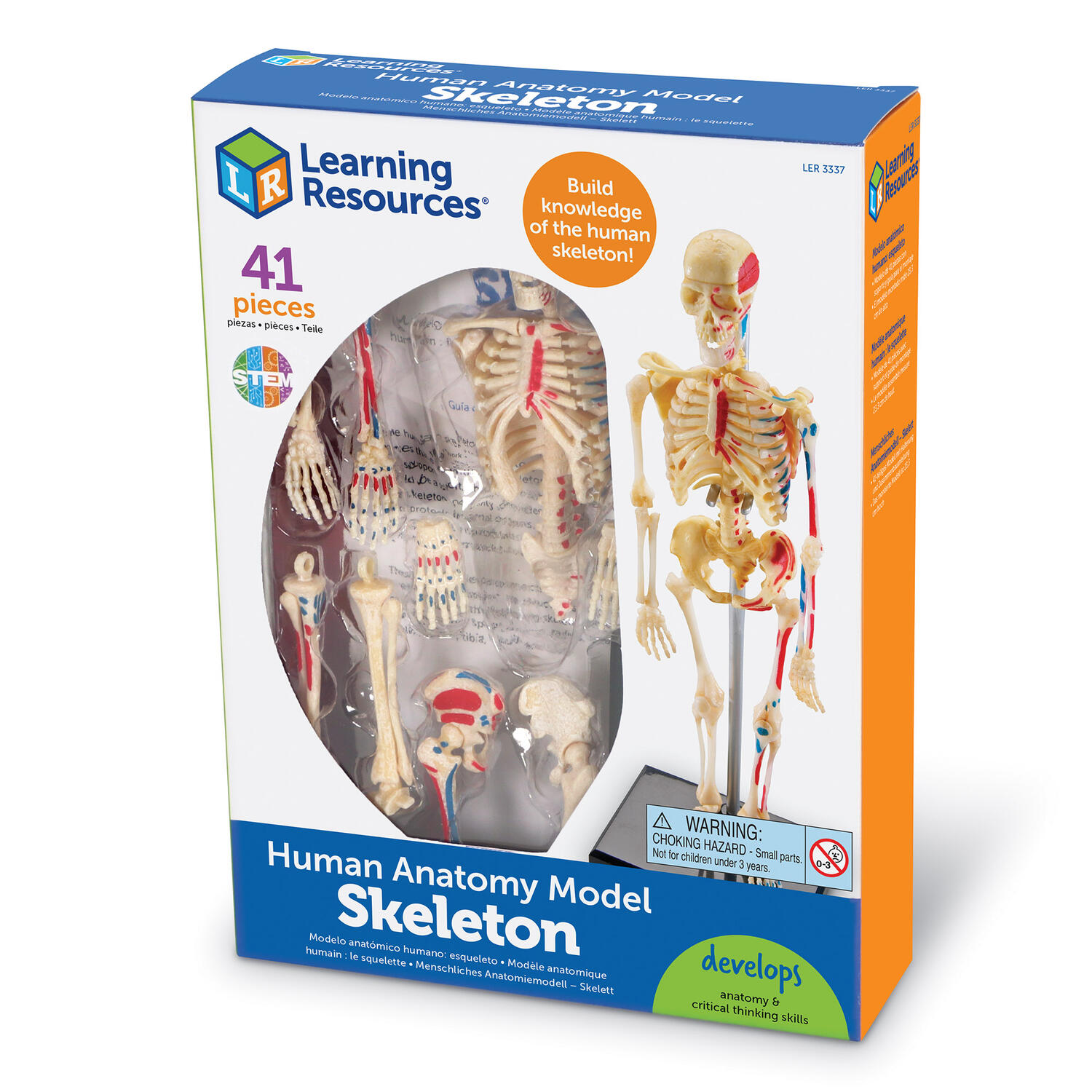 Macheta corpul uman - Schelet PlayLearn Toys