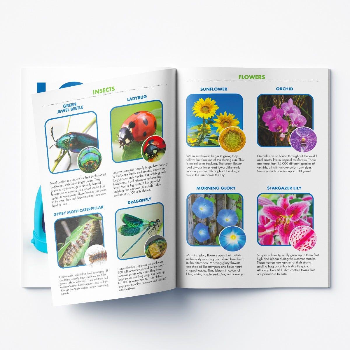 GeoSafari - Microscop Kidscope PlayLearn Toys