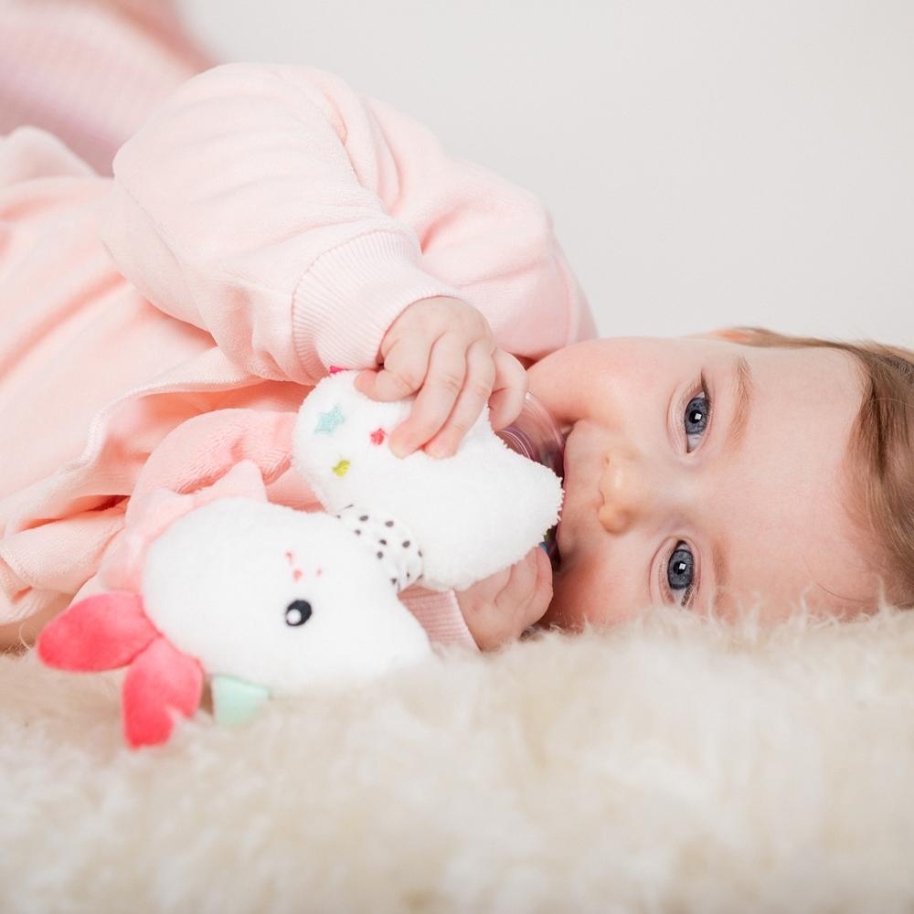 Zornaitoare - Unicorn PlayLearn Toys
