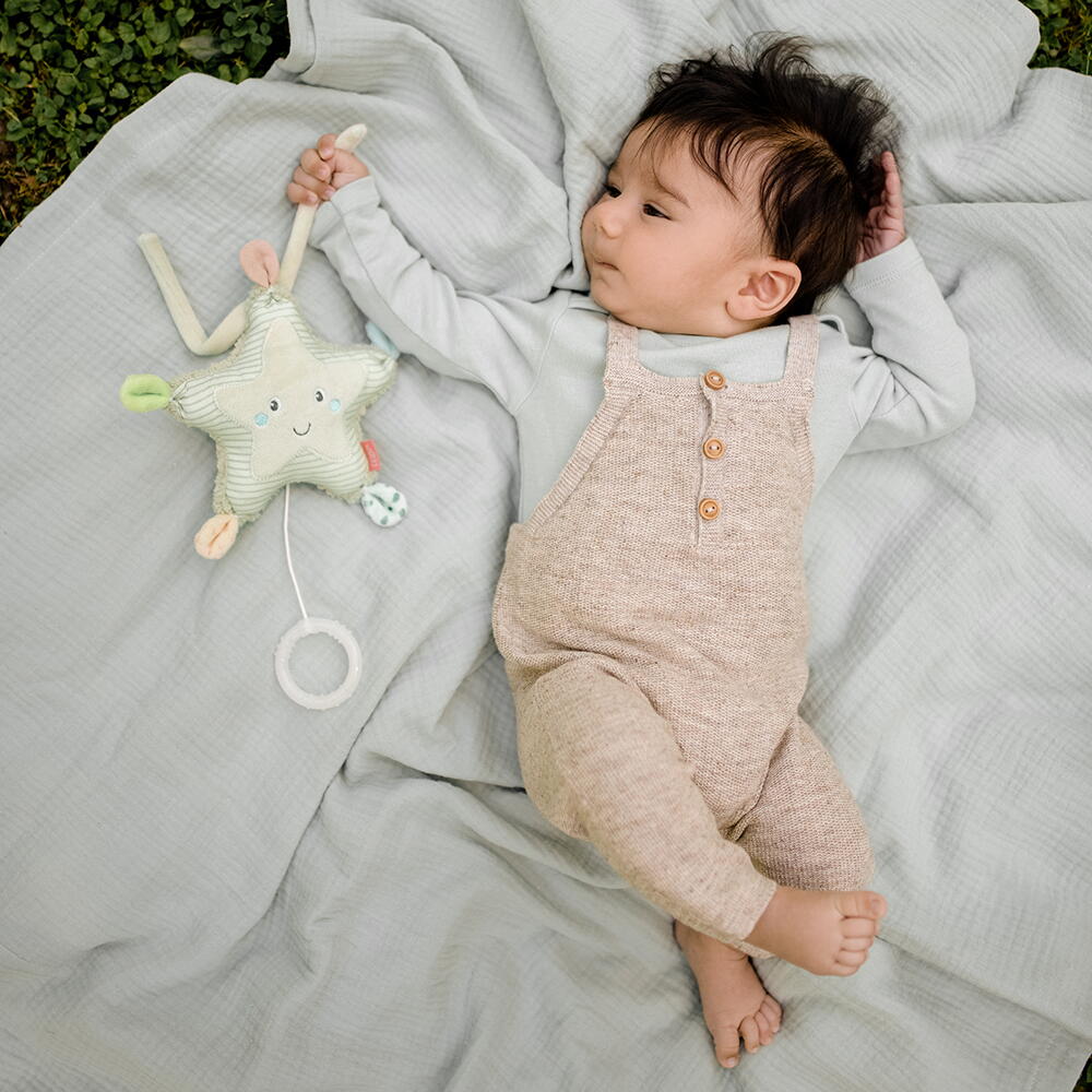Jucarie muzicala - Steluta de mare PlayLearn Toys