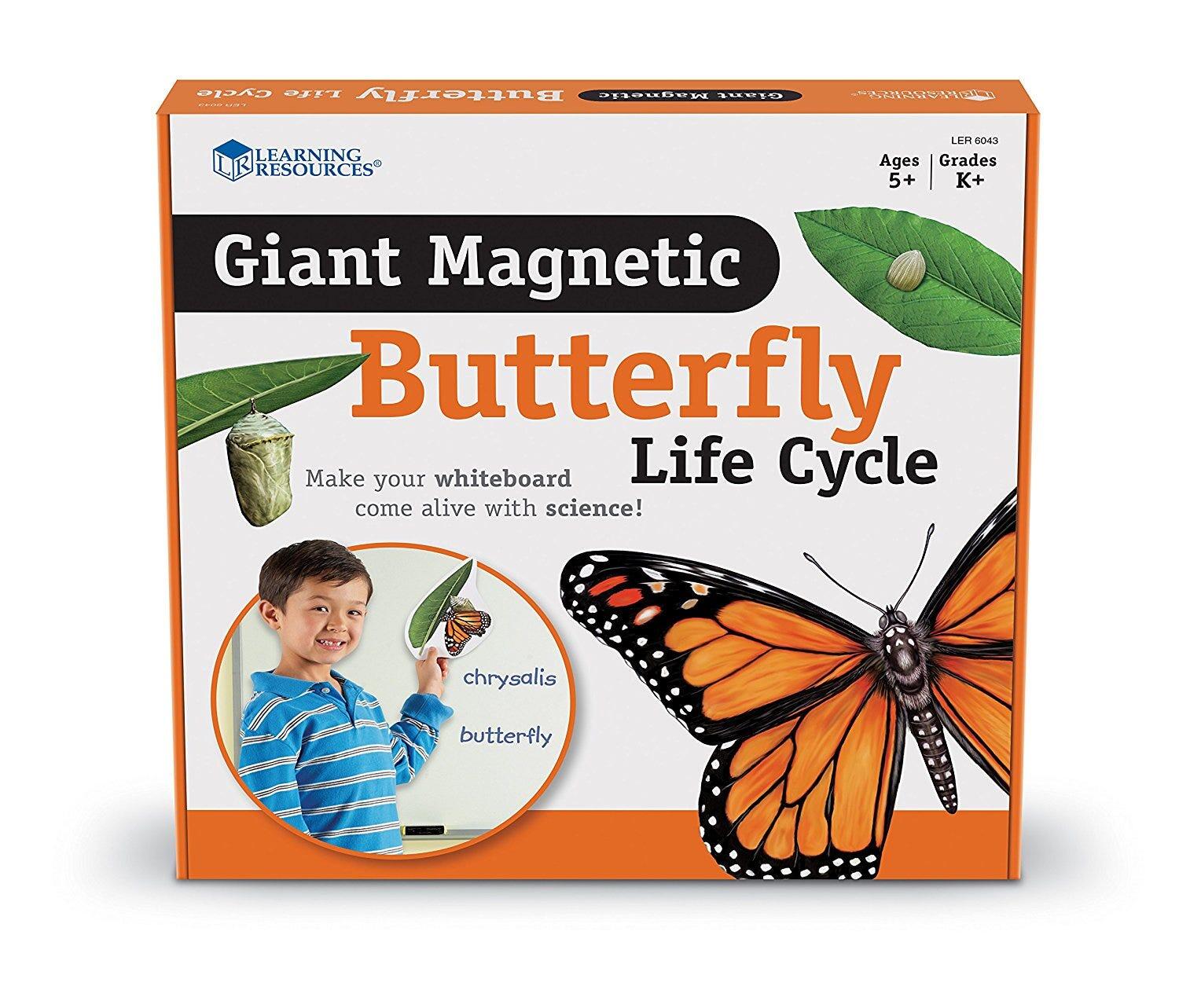 Ciclul vietii fluturelui - set magnetic PlayLearn Toys