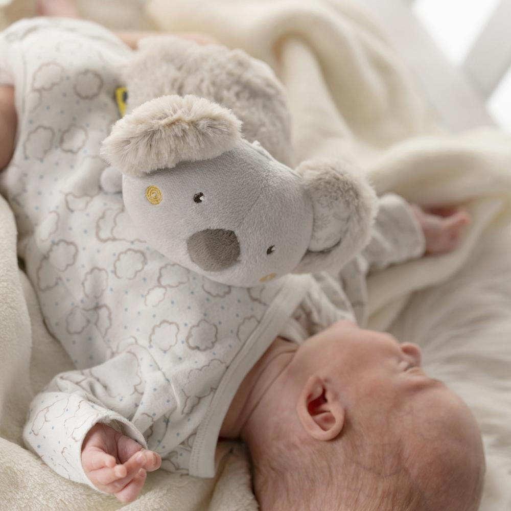 Pernuta anticolici - Ursuletul meu Koala PlayLearn Toys