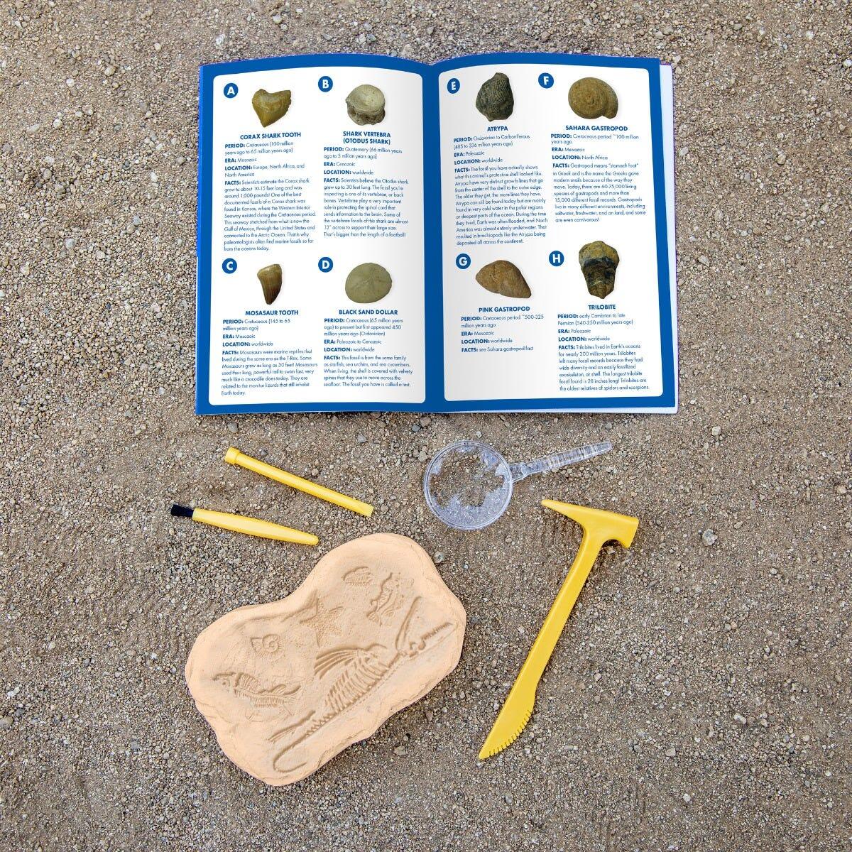 GeoSafari - Kit excavare fosile PlayLearn Toys
