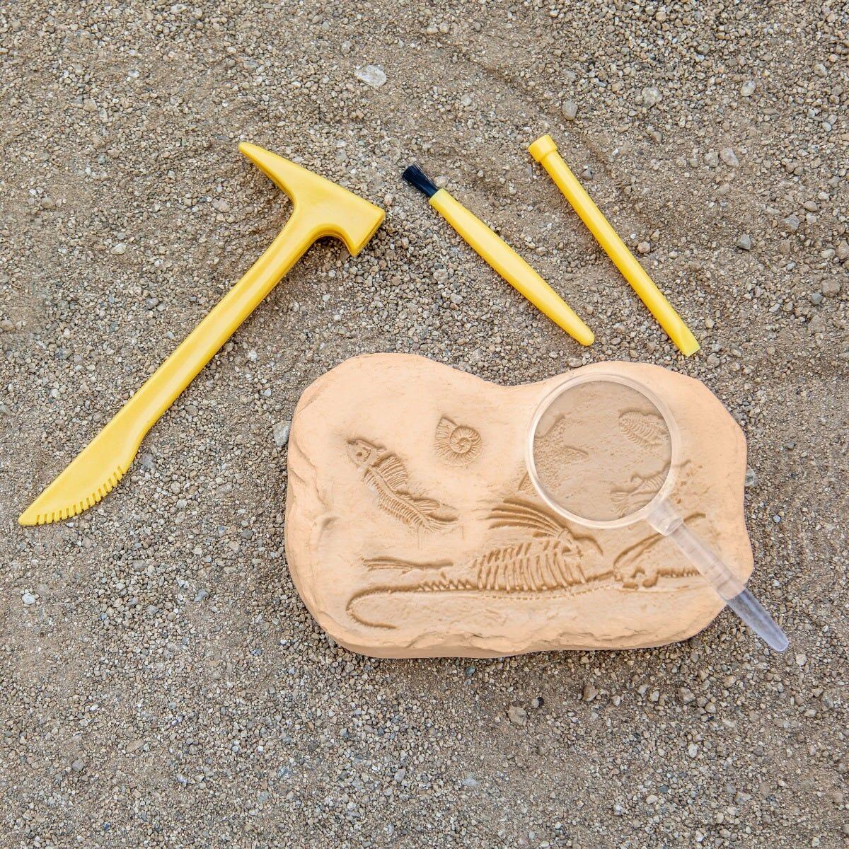 GeoSafari - Kit excavare fosile PlayLearn Toys