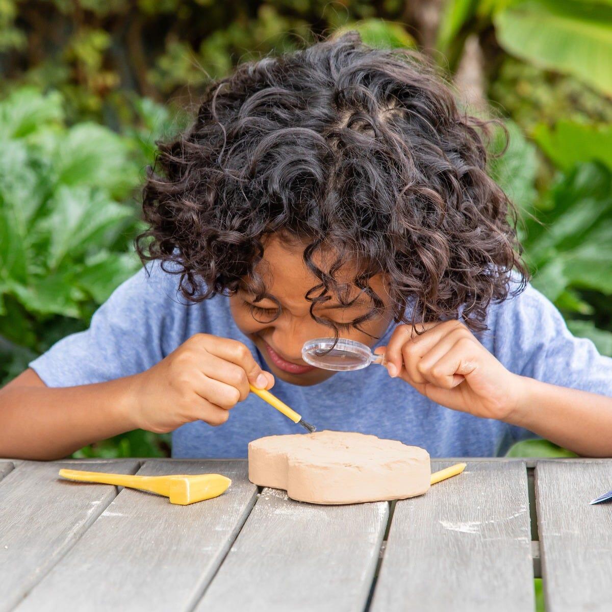 GeoSafari - Kit excavare fosile PlayLearn Toys