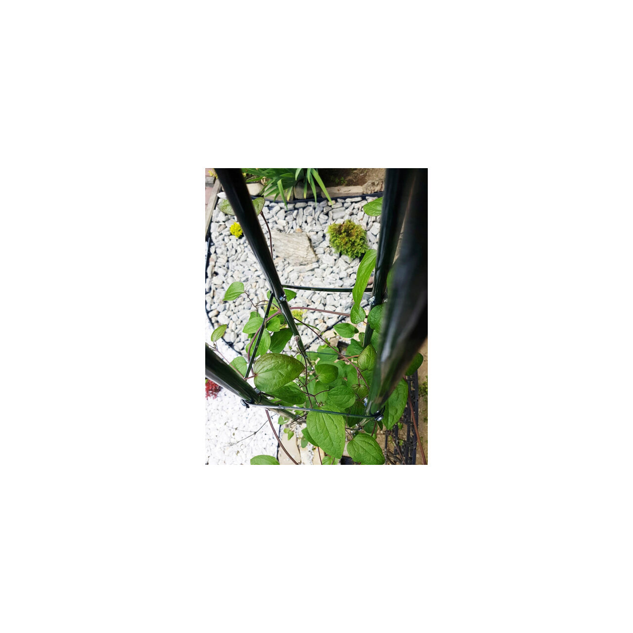 Suport de plante, 31x31x200 cm, PYRAMID GartenVIP DiyLine