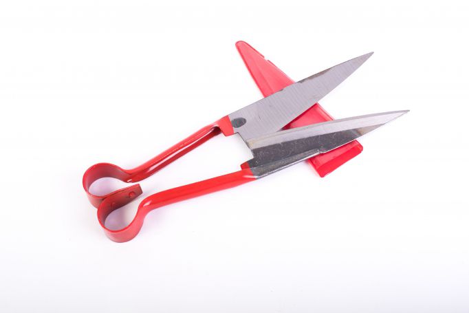 Foarfeca Micul Fermier pentru tuns oi, culoare Rosu FarmGarden AgroTrade