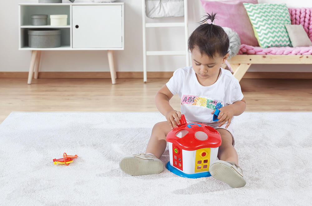 Joc sortare - Casuta vesela cu chei PlayLearn Toys