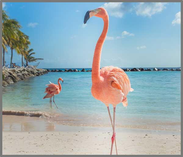Proiector tip lanterna - Distractie cu animalute PlayLearn Toys