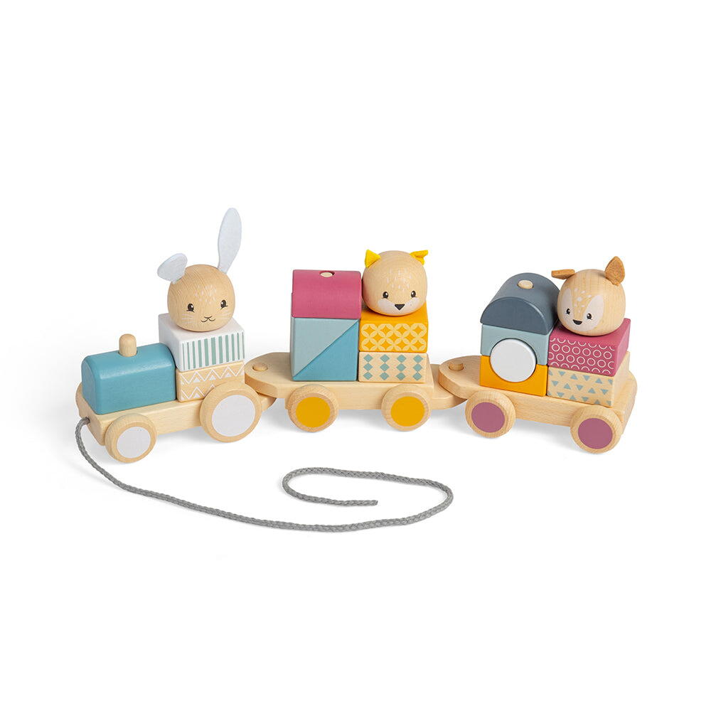 Trenulet cu forme - Animalute vesele PlayLearn Toys