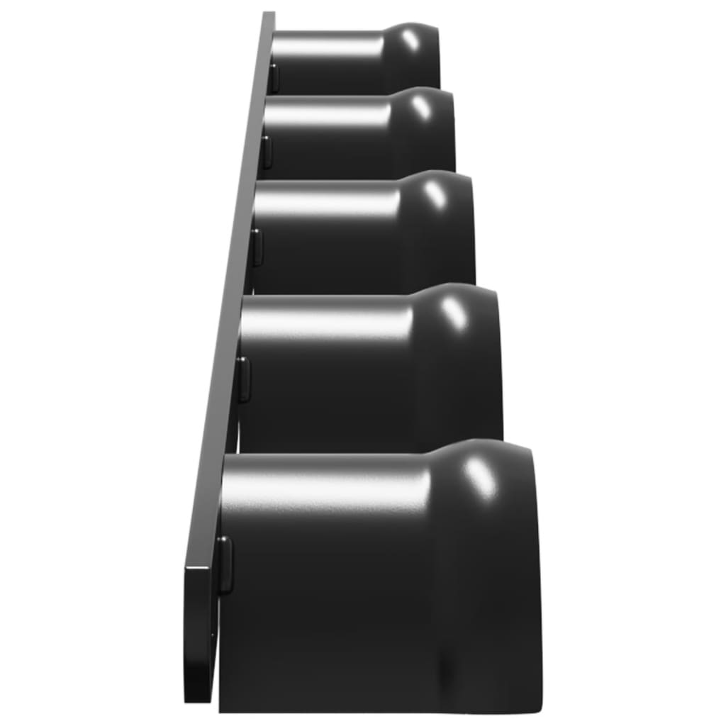 Cuier de căpăstru pentru 5 căpestre, negru, fier GartenMobel Dekor