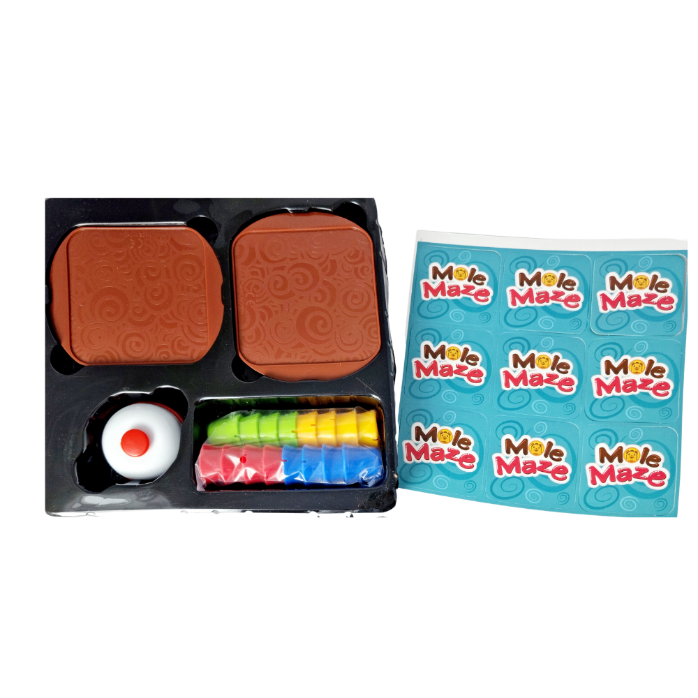 Joc STEAM 2 in 1 - Labirintul cartitei PlayLearn Toys