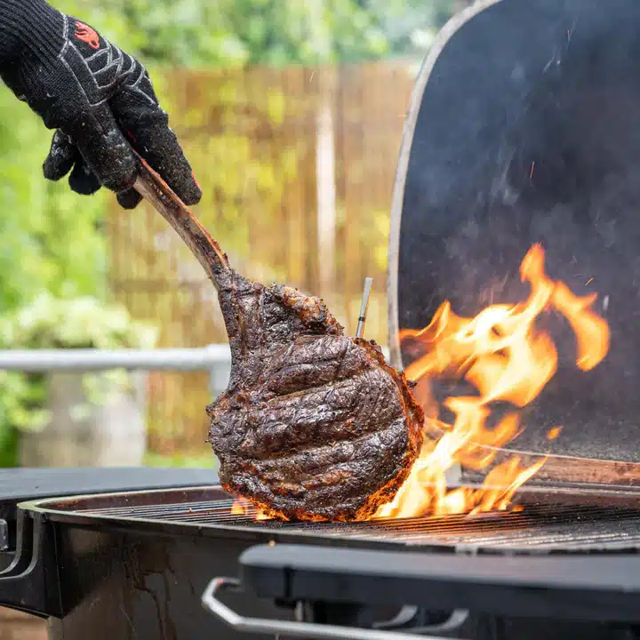 Termometru Meater PRO Essential GrillCooking