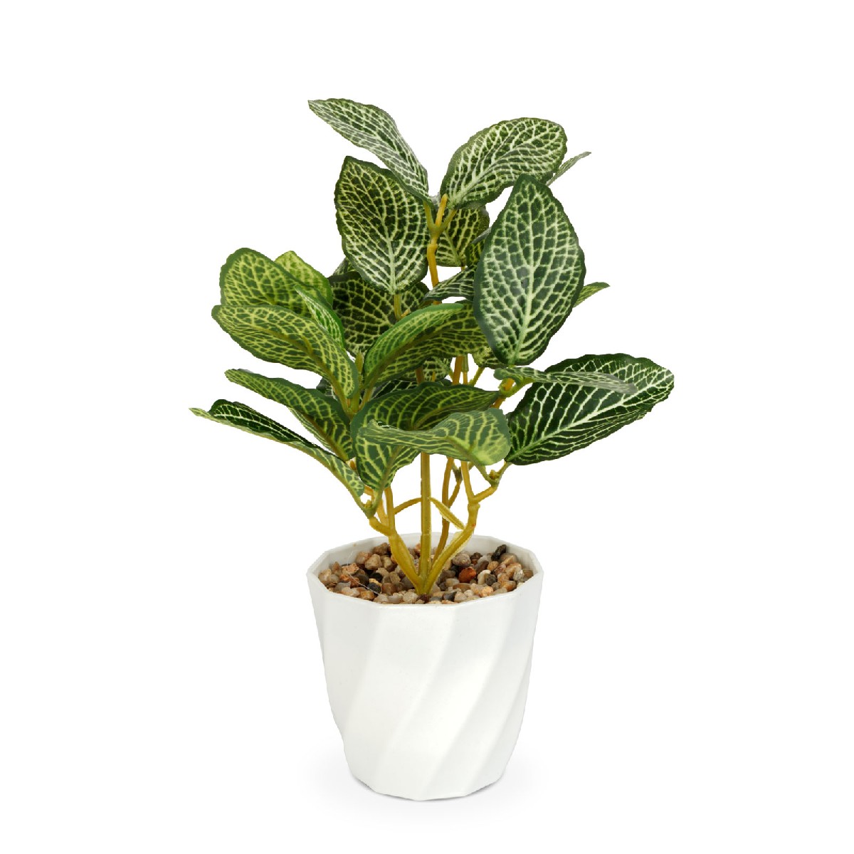 Plantă artificială decorativă - Fittonia - 20 x 9 cm Best CarHome