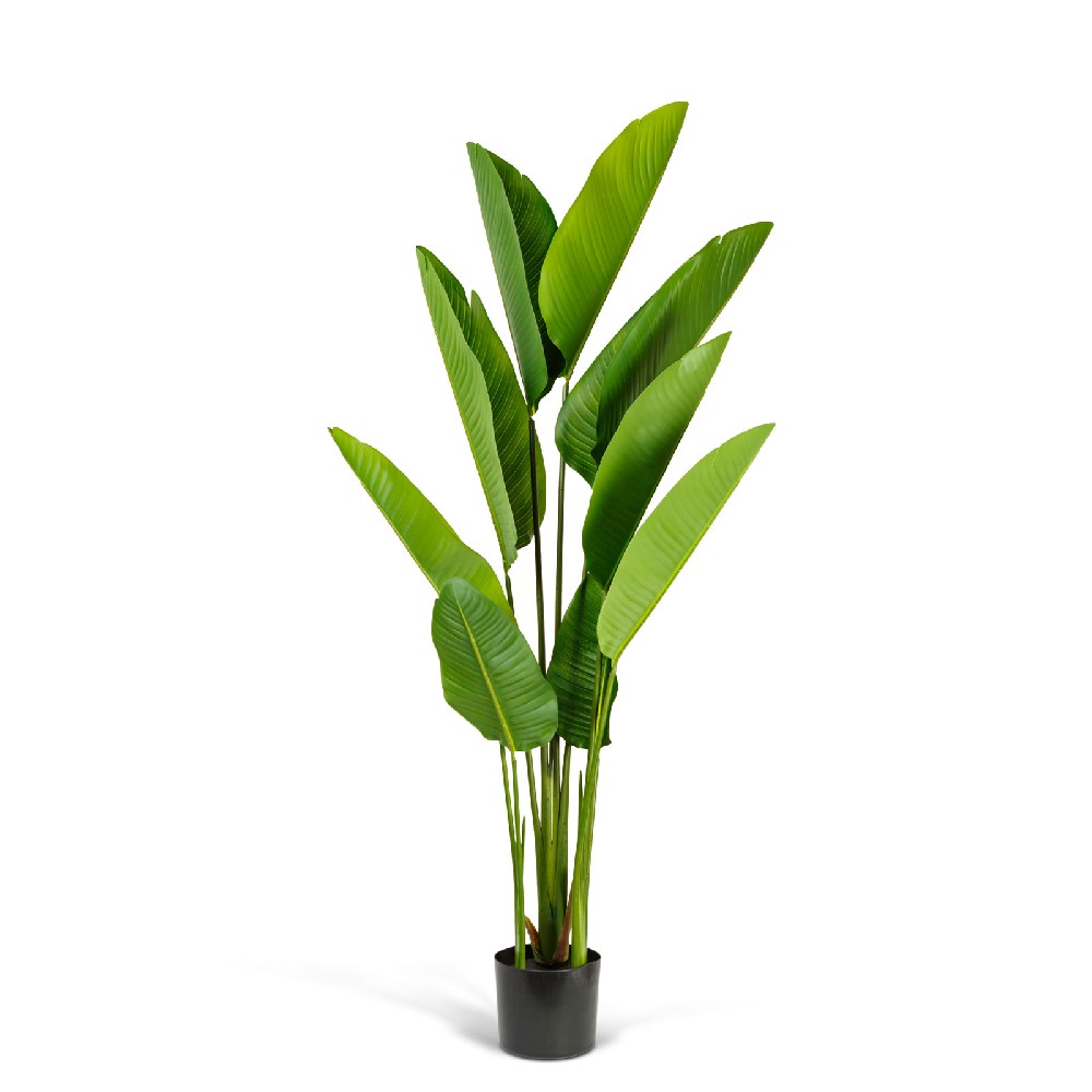 Plantă decorativă artificială bananier – 1,6 m, verde Best CarHome