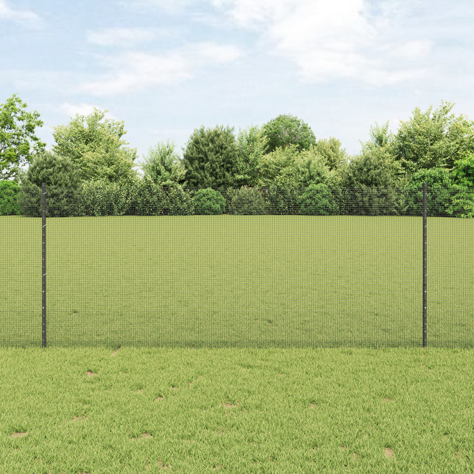 Set Gard din Plasă de Găină Set de 2 Gri Metal Gard de 10 x 1 m GartenMobel Dekor