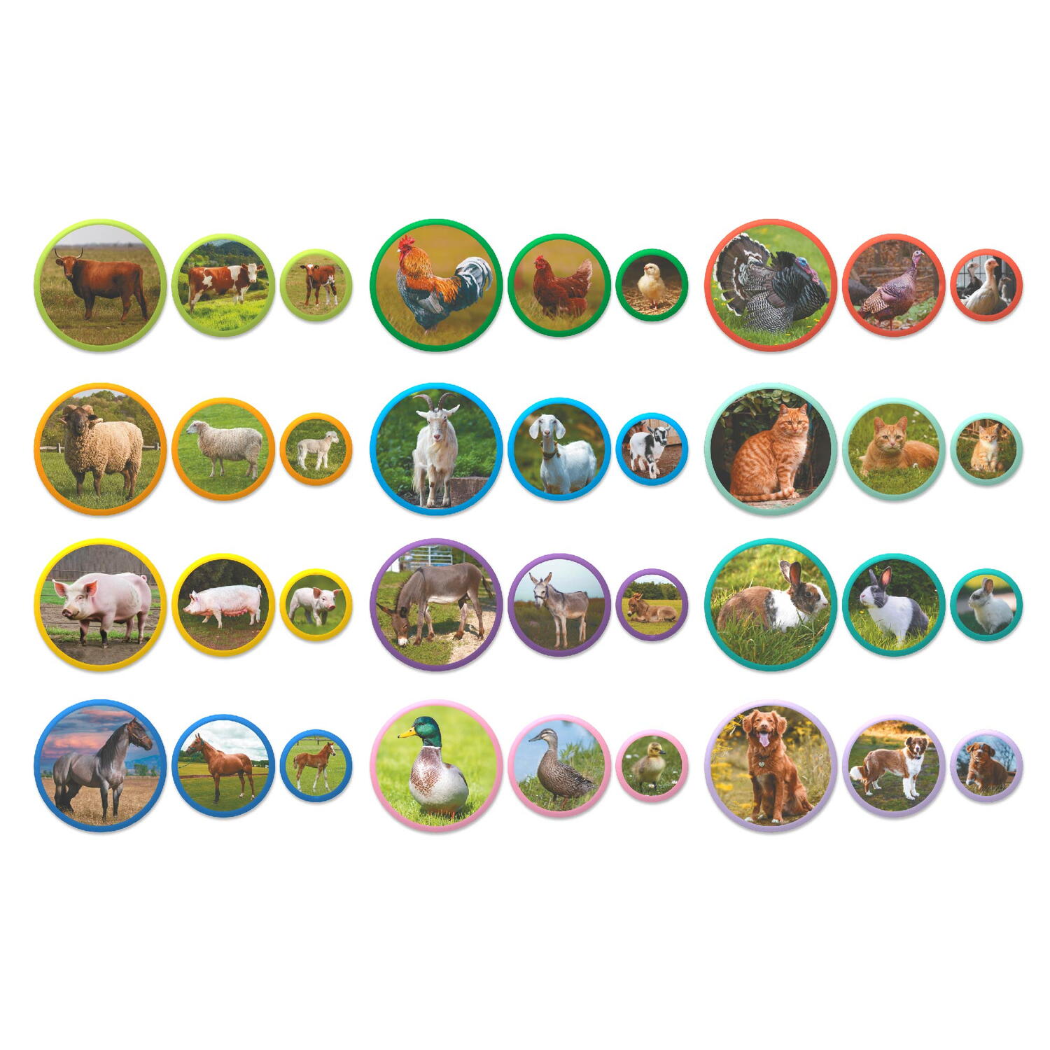 Set magneti Montessori - Animale de la ferma PlayLearn Toys
