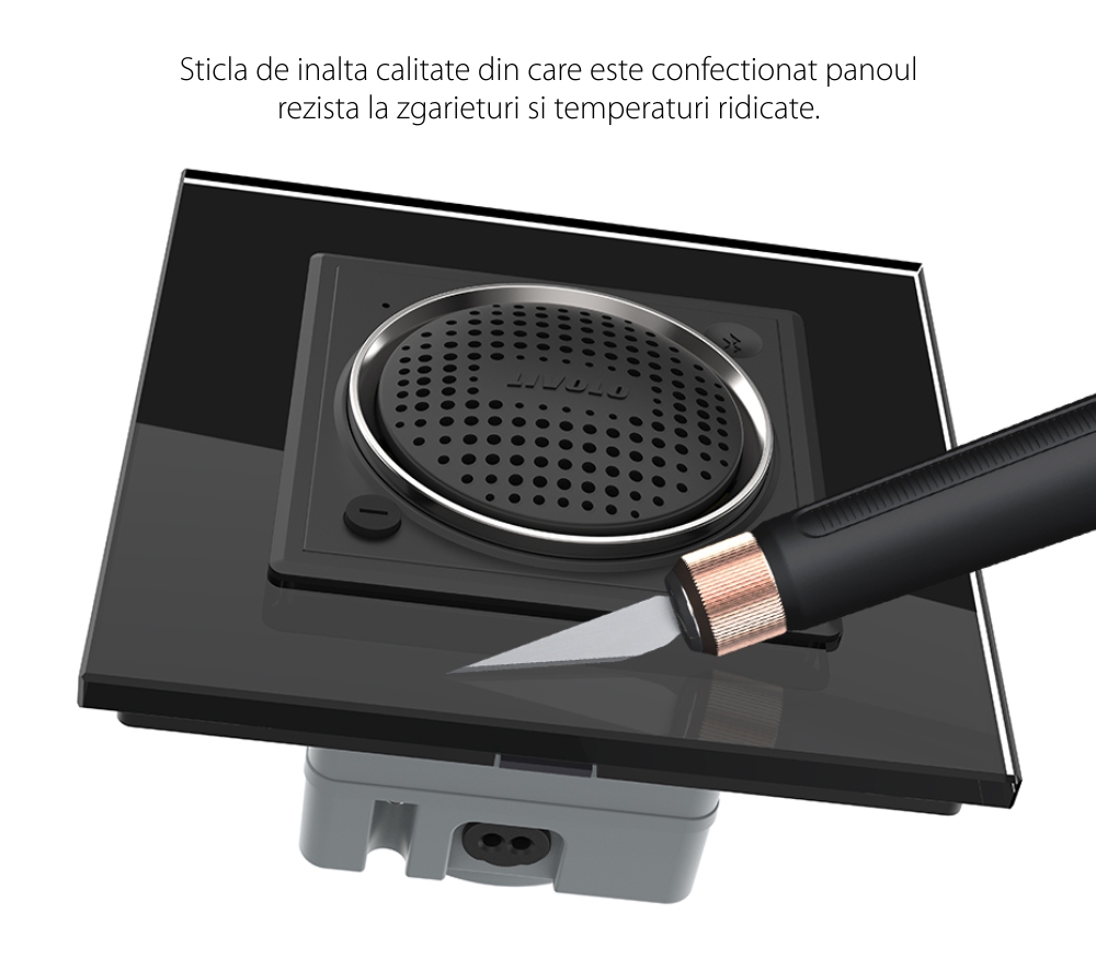 Modul Boxa Bluetooth Livolo SmartElectro IntelligentHouse