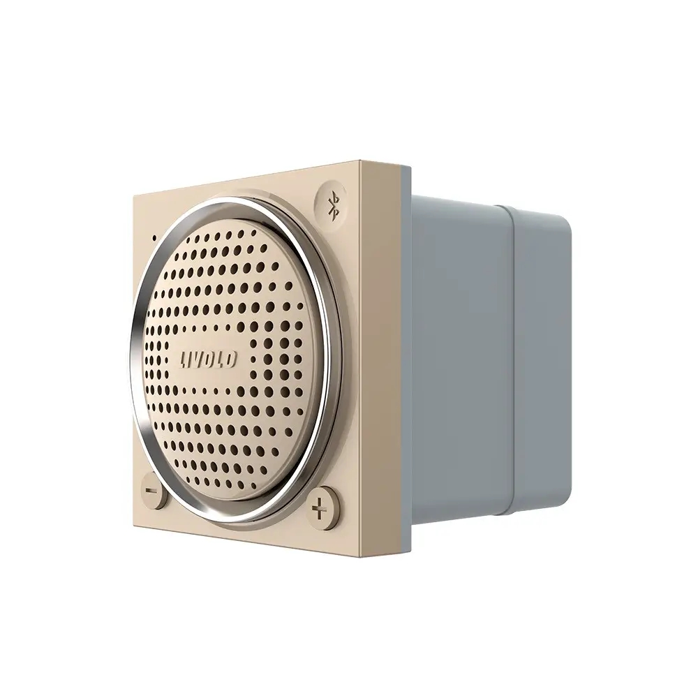 Modul Boxa Bluetooth Livolo SmartElectro IntelligentHouse
