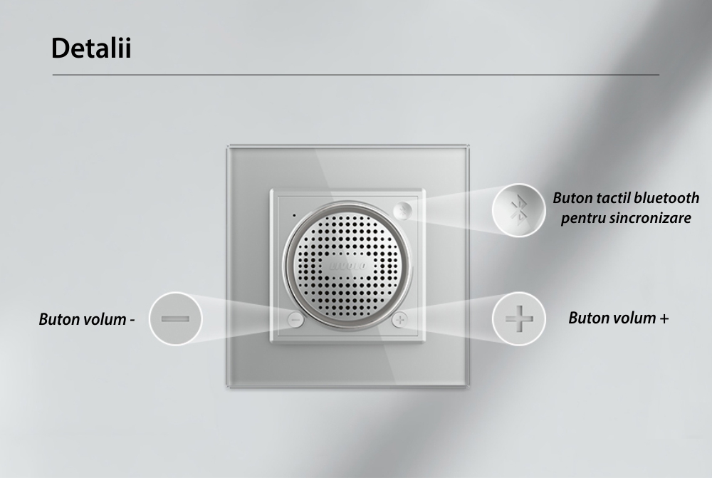 Modul Boxa Bluetooth Livolo SmartElectro IntelligentHouse