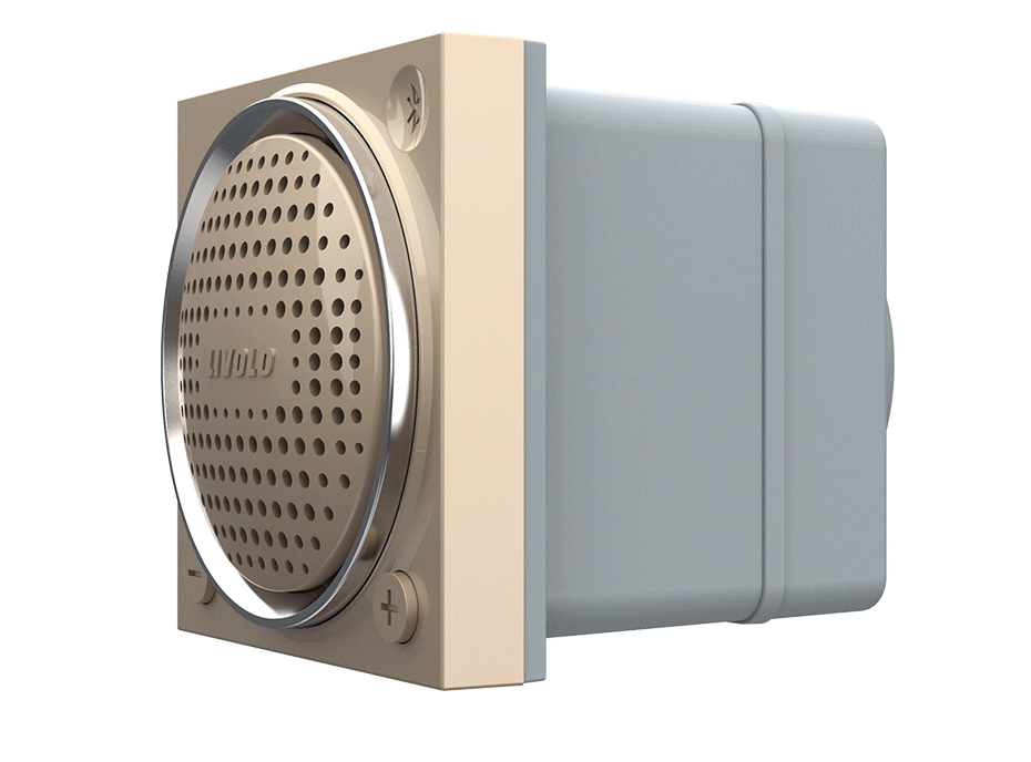 Modul Boxa Bluetooth Livolo SmartElectro IntelligentHouse