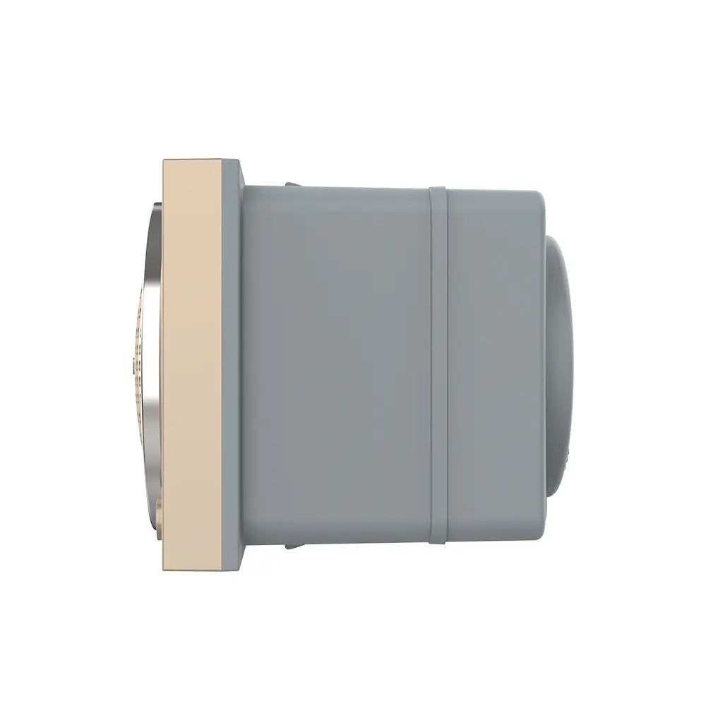 Modul Boxa Bluetooth Livolo SmartElectro IntelligentHouse