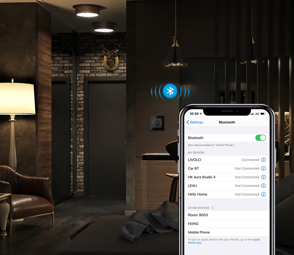 Modul Boxa Bluetooth Livolo SmartElectro IntelligentHouse