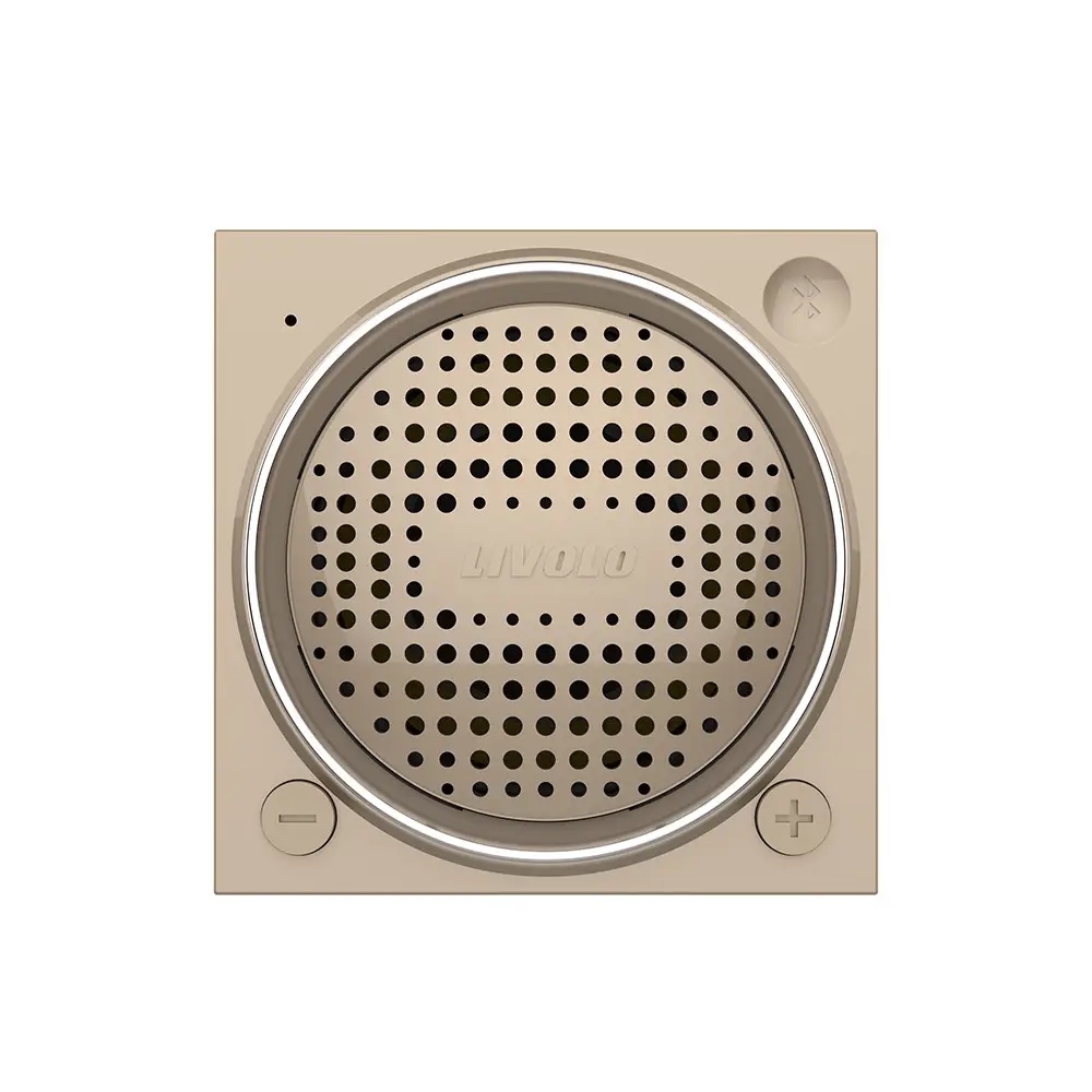 Modul Boxa Bluetooth Livolo SmartElectro IntelligentHouse