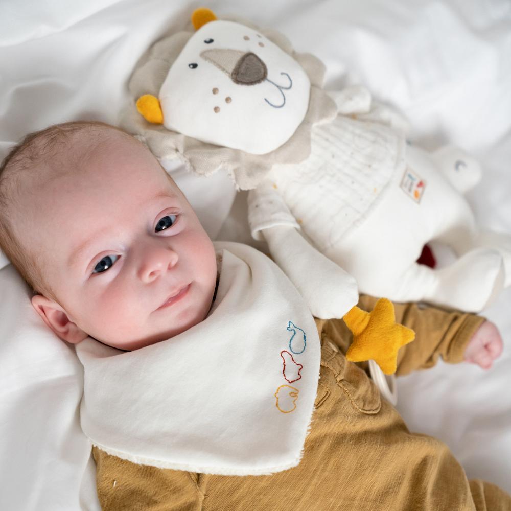 Centru de activitati - Leu NATUR PlayLearn Toys