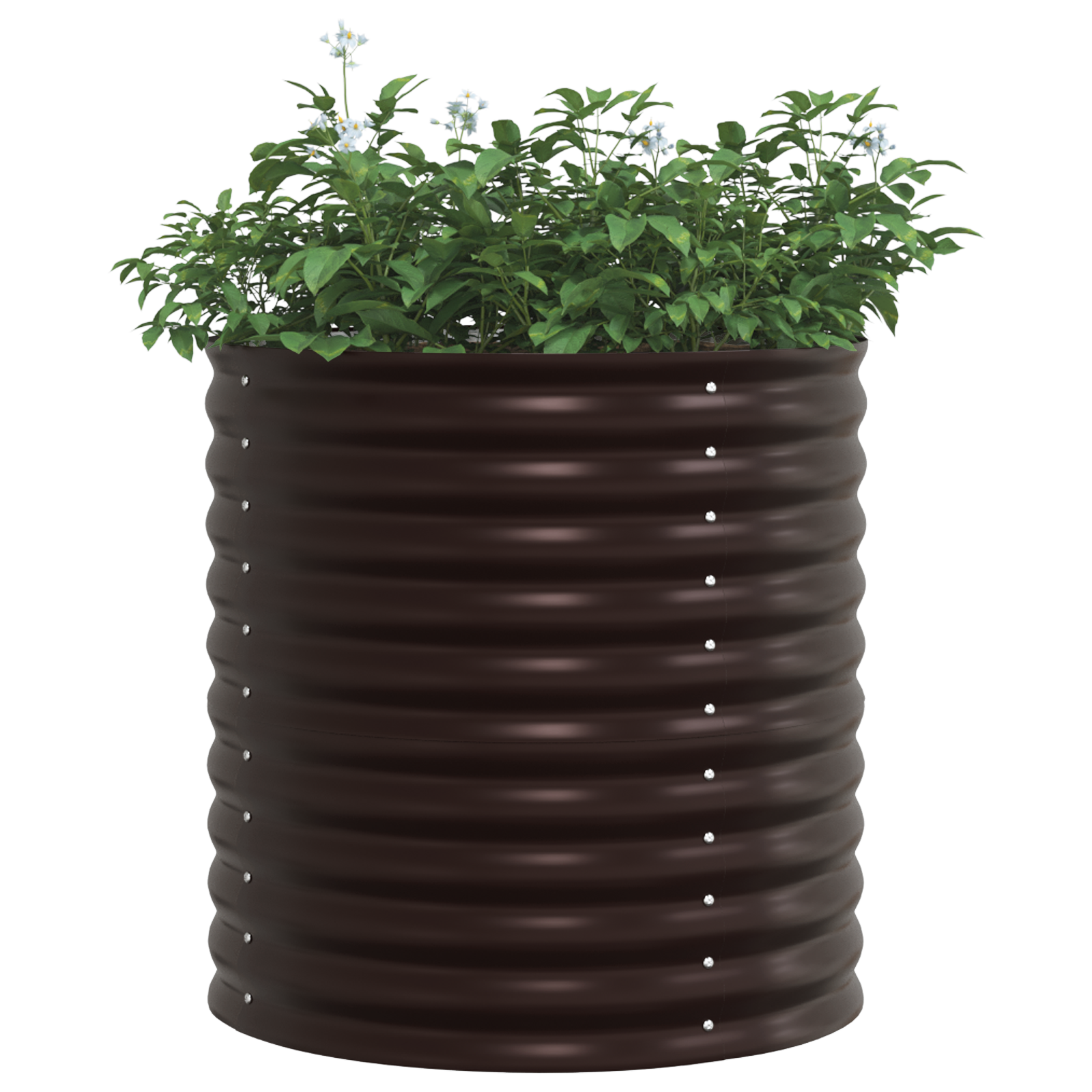 Grădină Răsad - Maro 80x80x81 cm Oțel galvanizat GartenMobel Dekor