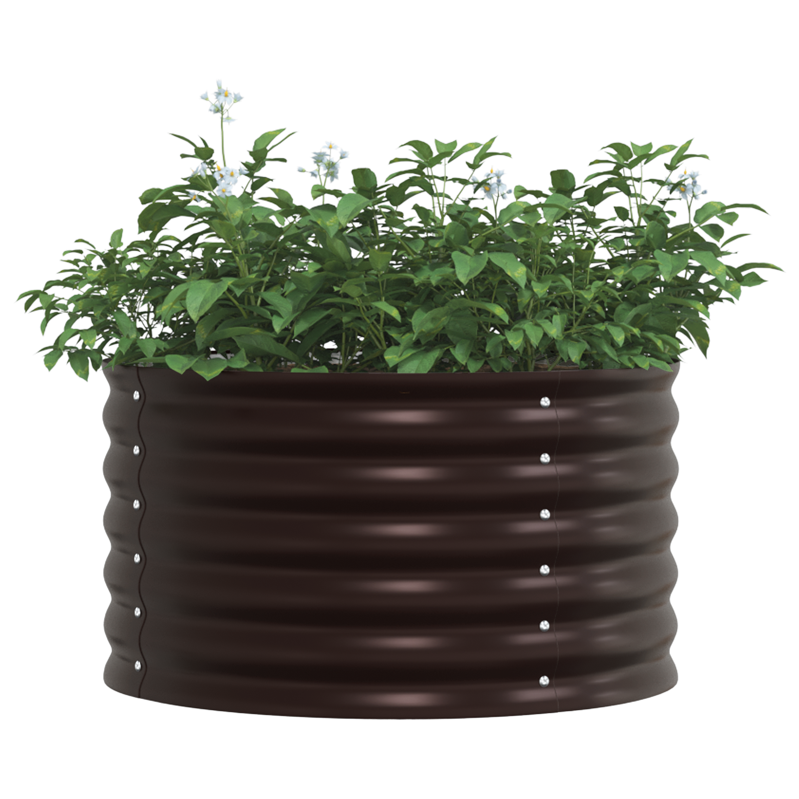 Răsad pentru Grădină Maro 80x80x44 cm din Oțel Galvanizat GartenMobel Dekor