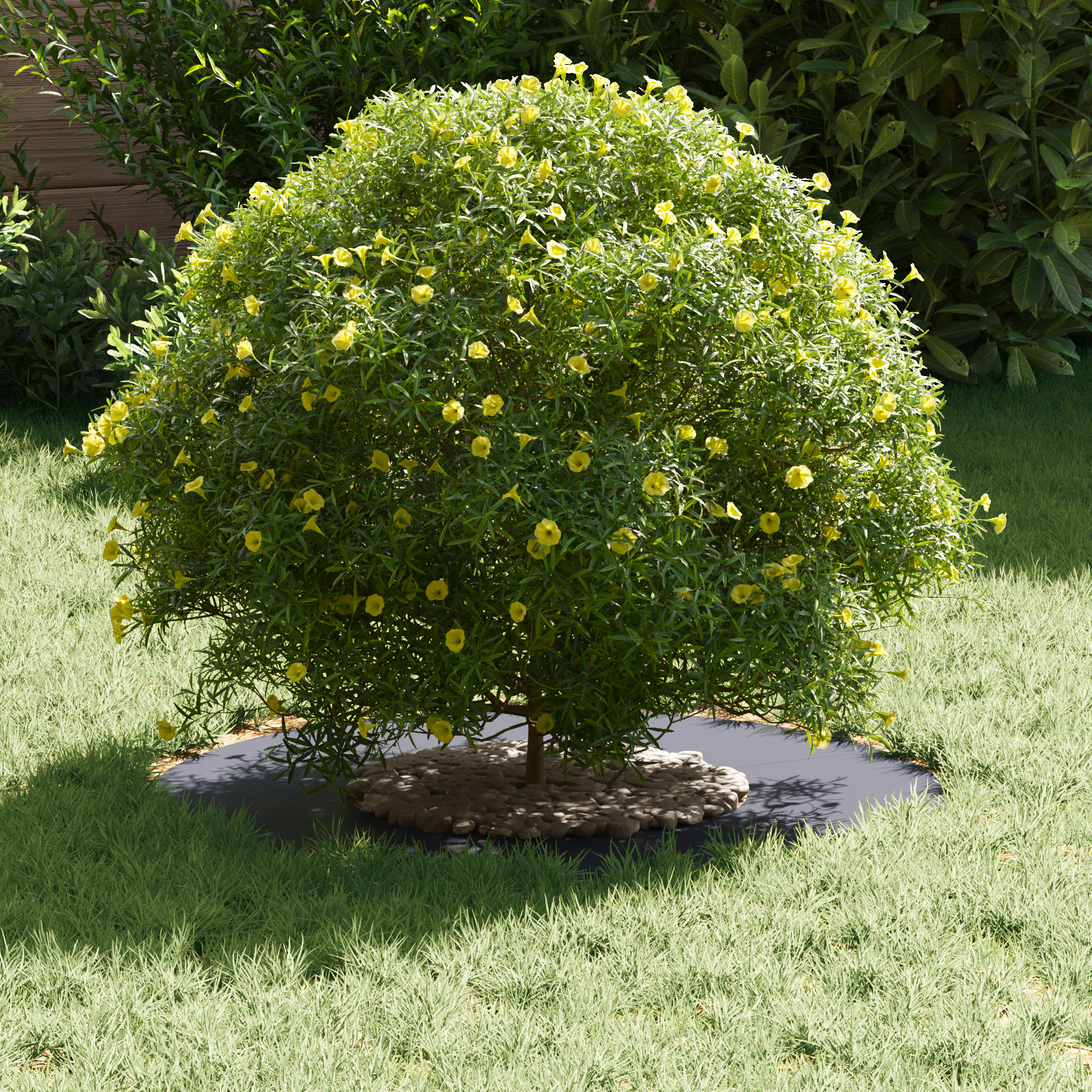 Ghiveci Antracit Antracit Plastic Mare Inserții Decorative GartenMobel Dekor