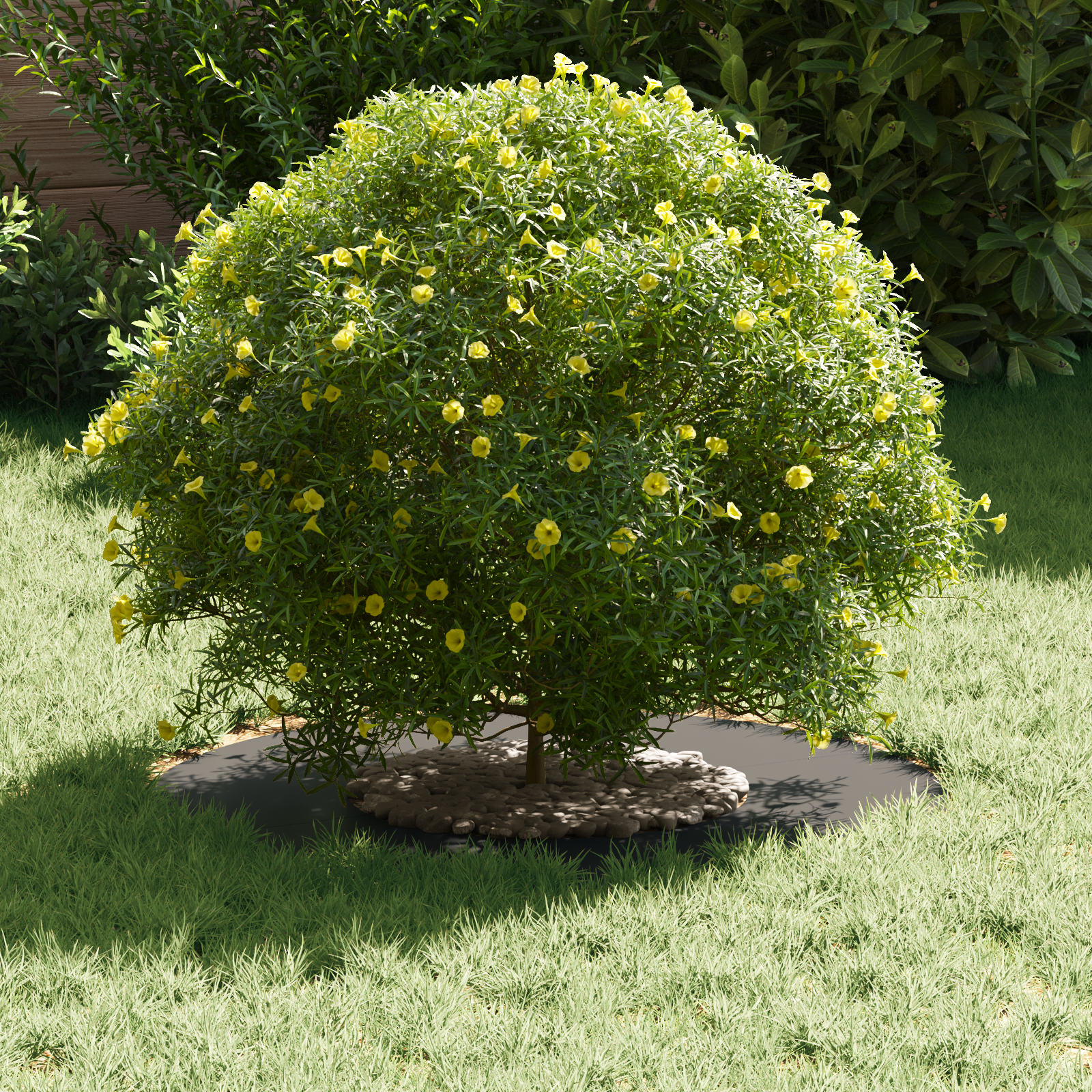 Ghiveci din Metal Negru Metal 60 x 60 x 1.3 cm GartenMobel Dekor