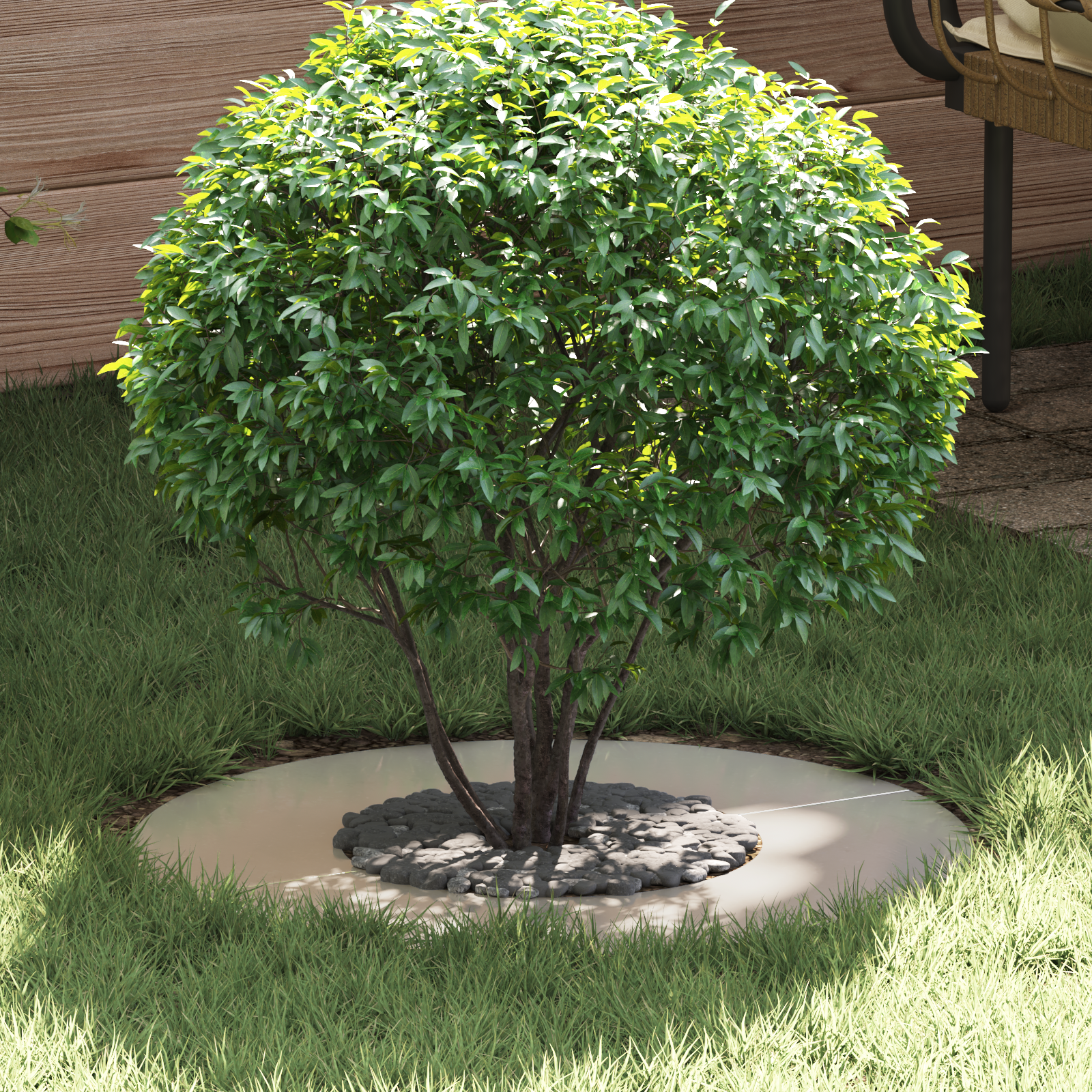 Ghiveci din oțel inoxidabil Oțel inoxidabil Mediu Elegant GartenMobel Dekor