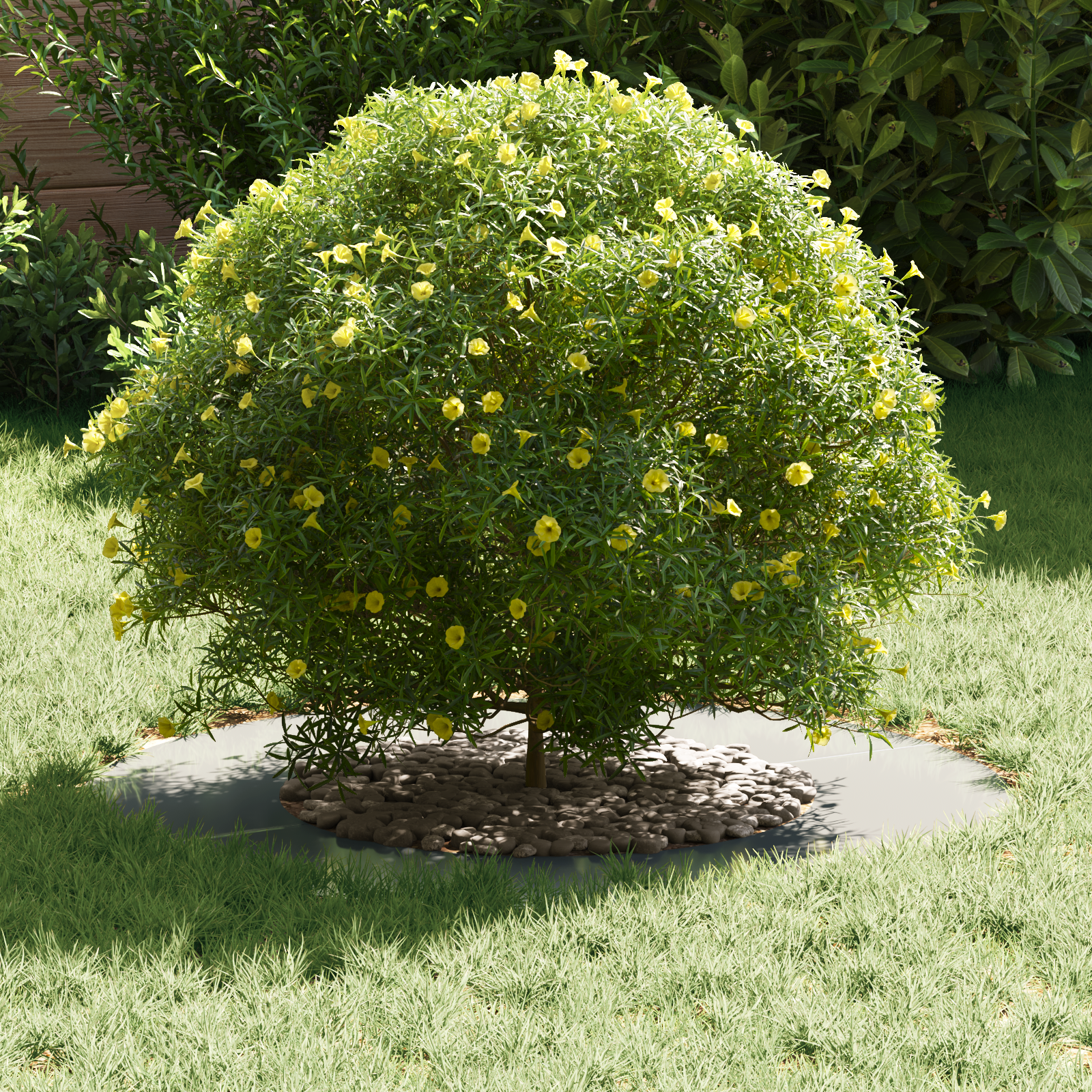 Ghiveci Metalic Galvanizat Galvanizat Fier Galvanizat Mari GartenMobel Dekor
