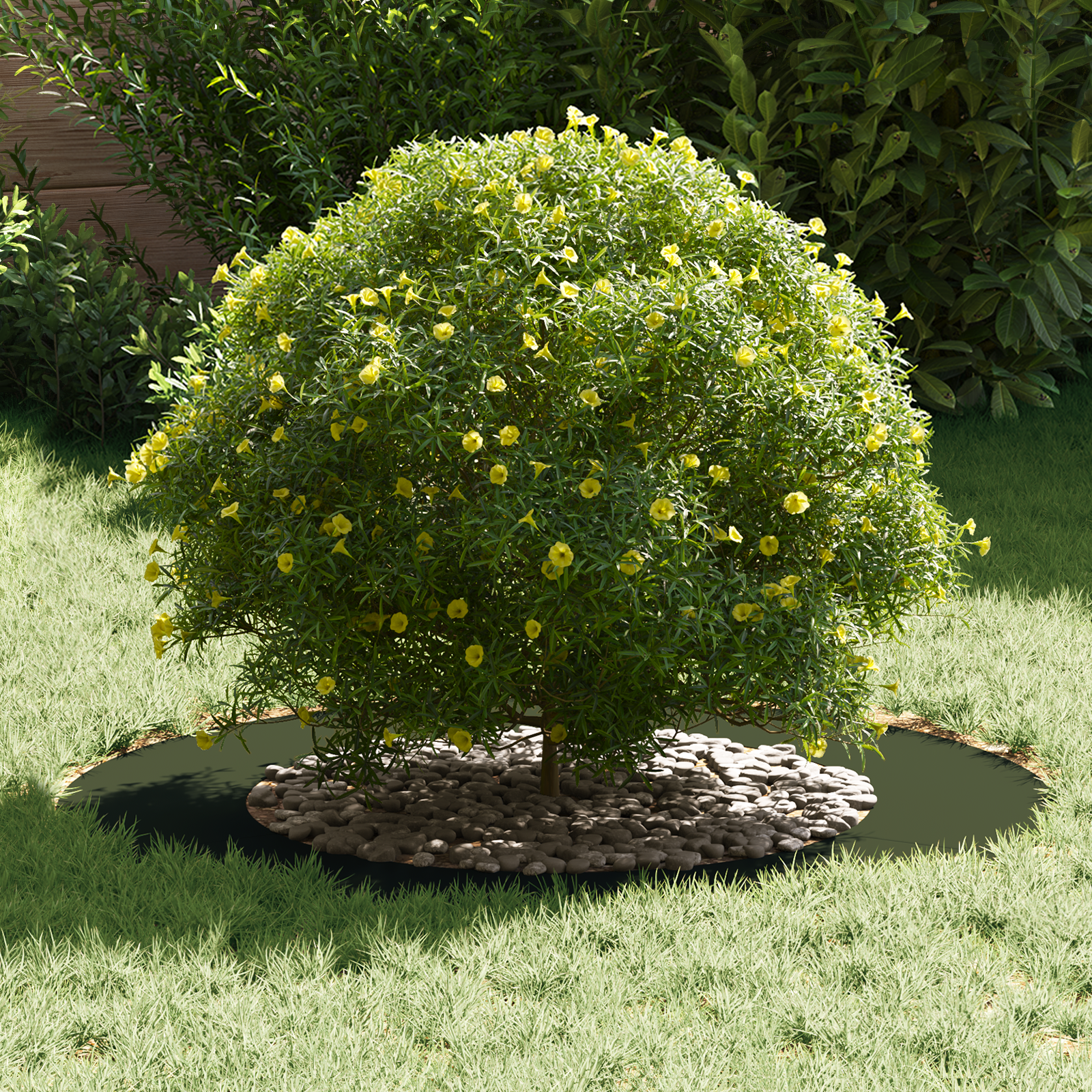 Ghiveci Oliv Oliv Plastic Mare Inserții Decorative Ghiveci Oliv GartenMobel Dekor