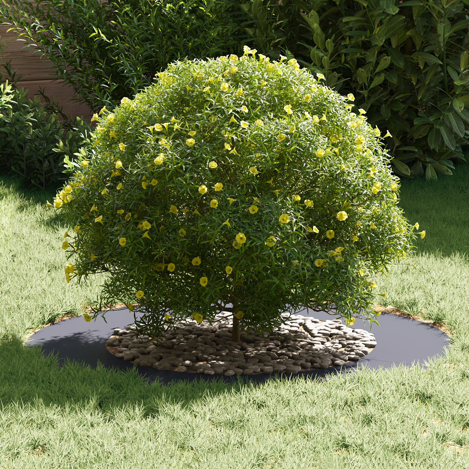 Ghiveci antracit Antracit Plastic Mare Ghiveci mare Rotund GartenMobel Dekor