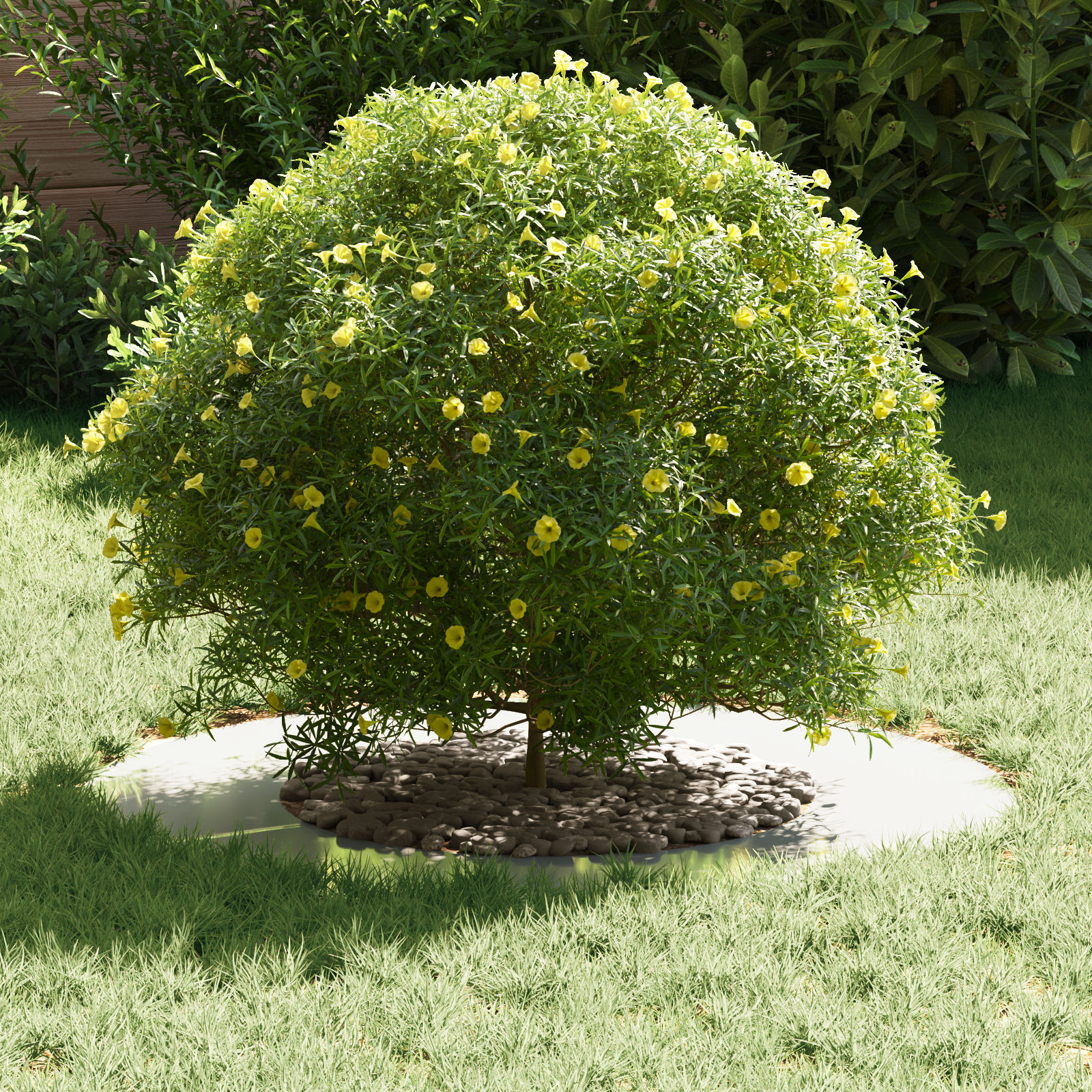 Ghiveci galvanizat Galvanizat Metal galvanizat Mediul Durabil GartenMobel Dekor