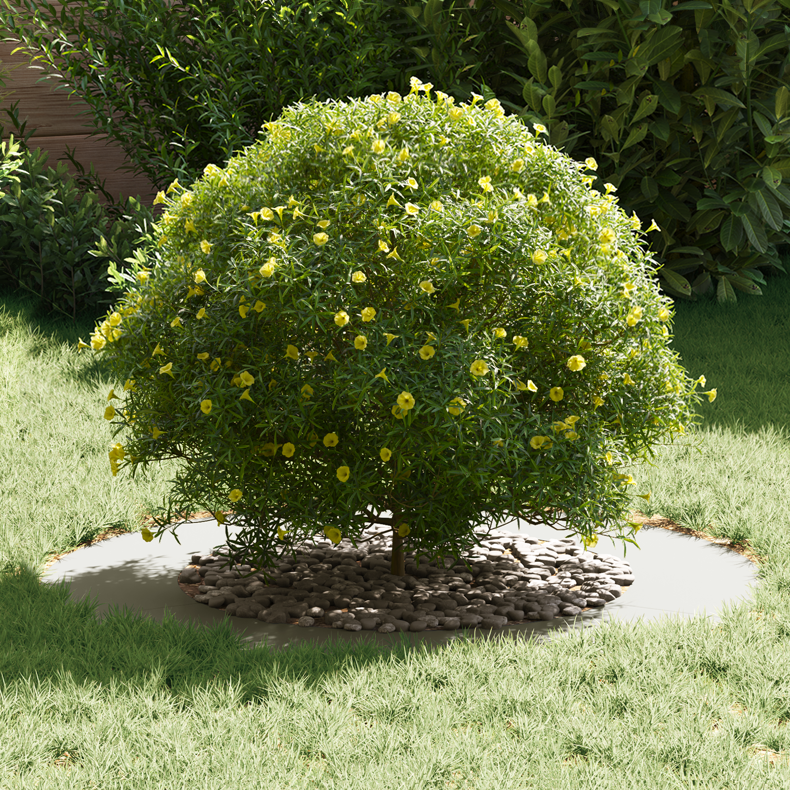 Set de Ghivece din Plastic Alb Plastic Mare Ghivece GartenMobel Dekor