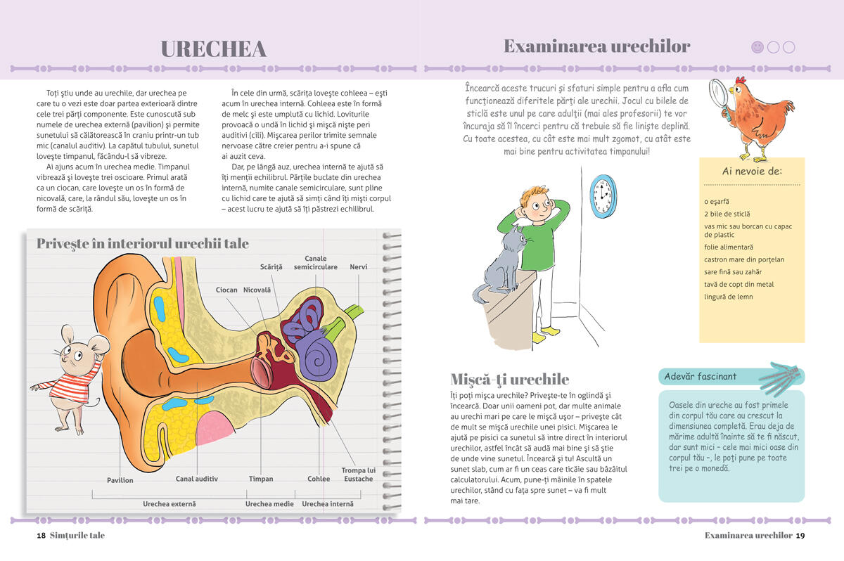 Prima mea carte despre corpul uman PlayLearn Toys