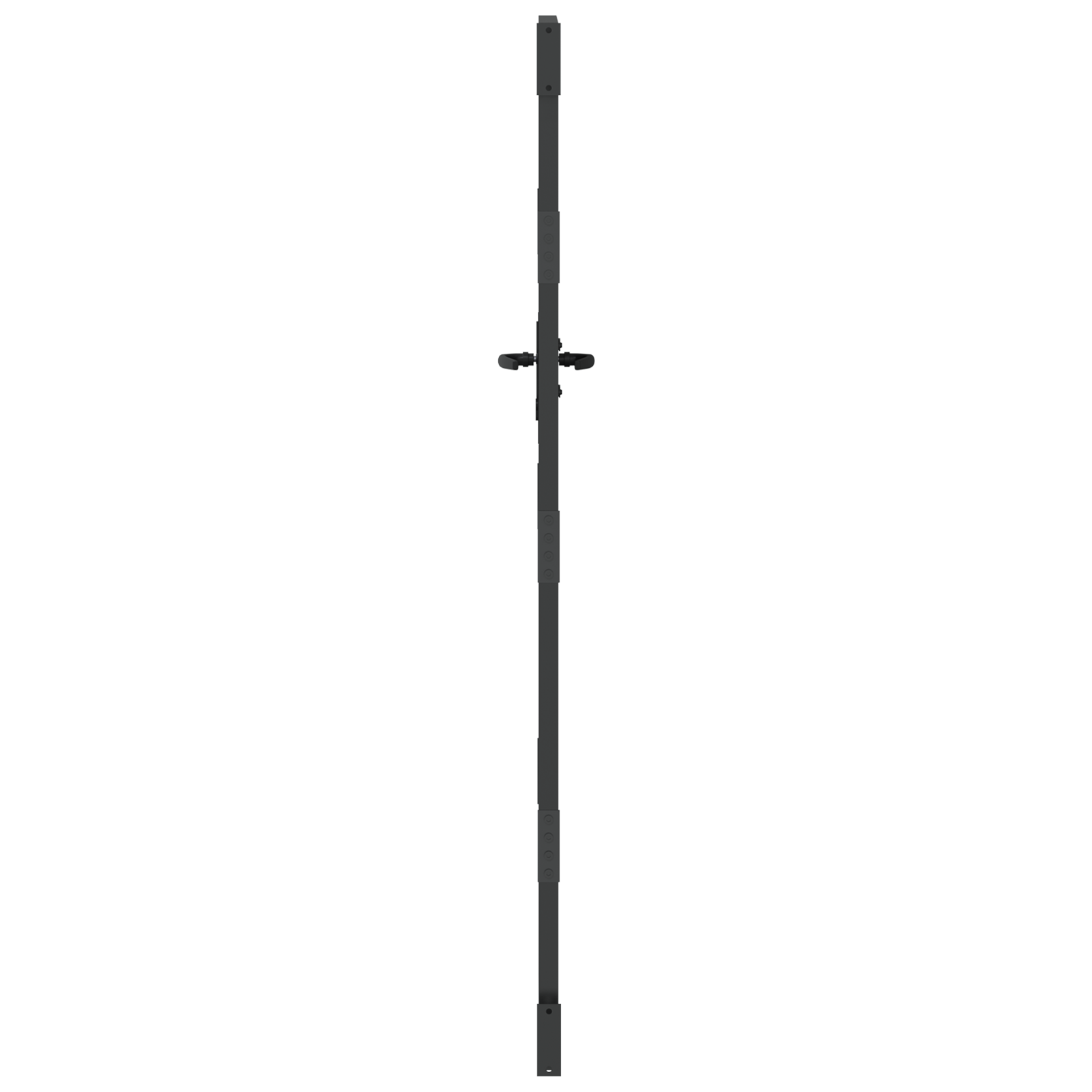 Poartă de grădină Negru 100 x 175 cm Oțel vopsit în pulbere GartenMobel Dekor