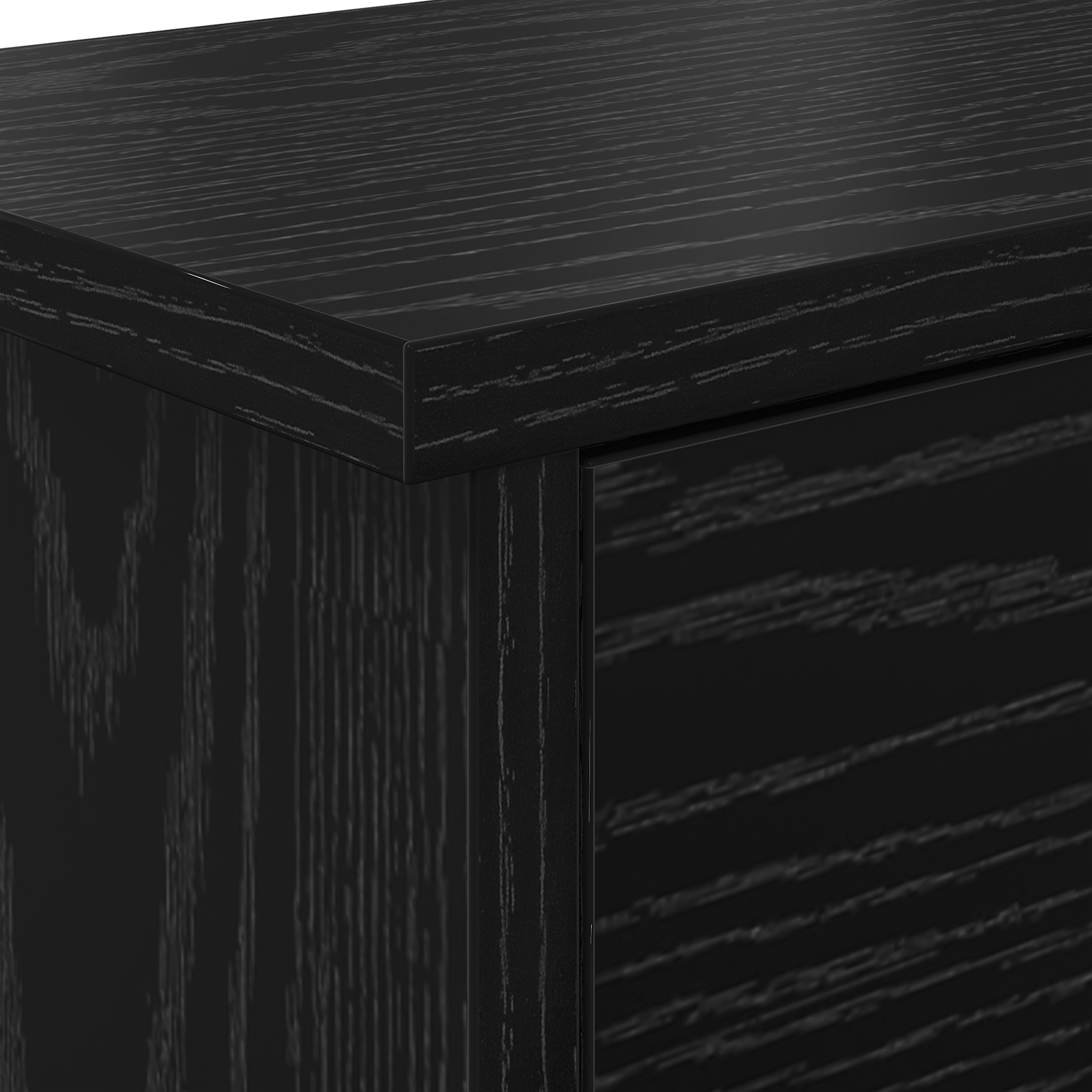 Răcător de paltoane montat pe perete cu raft Pe perete cu depozitare cu ușă Stejar negru GartenMobel Dekor