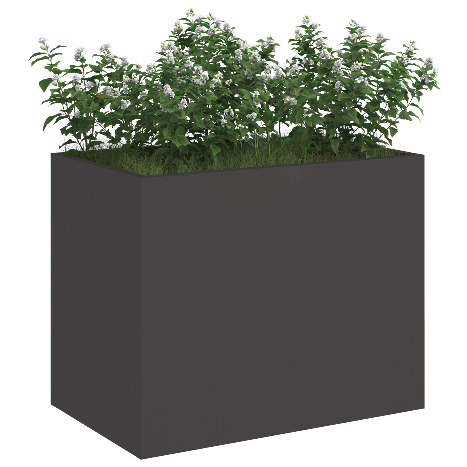 Vază pentru Grădină Negru 50 x 32 x 40 cm Oțel laminat la rece GartenMobel Dekor