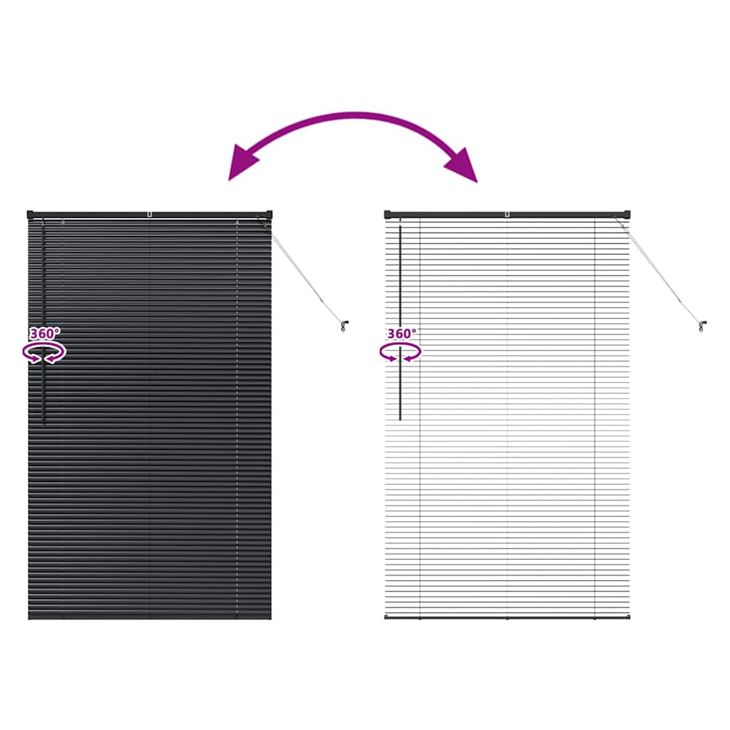 Jaluzea pentru Fereastră cu perdele Altele Manual Negru 100 x 175 cm Aluminiu GartenMobel Dekor
