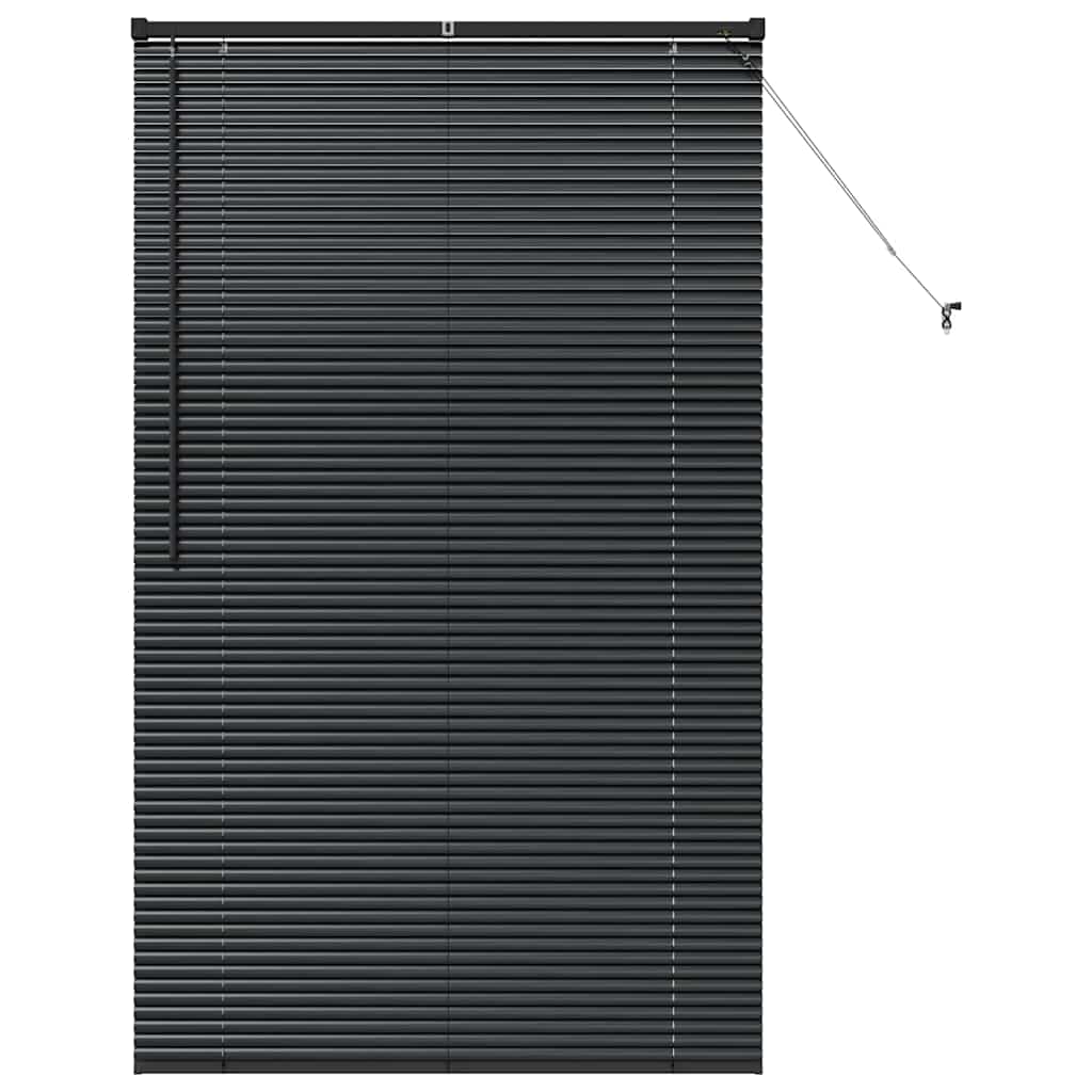 Jaluzea pentru Fereastră cu perdele Altele Manual Negru 100 x 175 cm Aluminiu GartenMobel Dekor